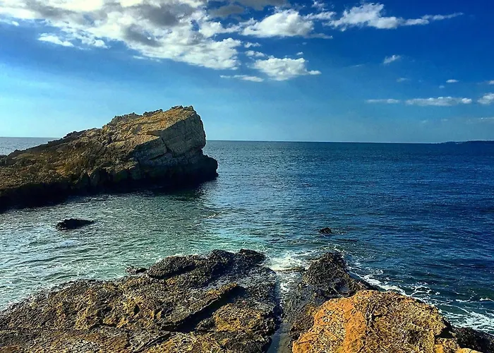 Tortuga Nosara